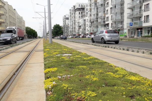 tramwaj na torowisku na ul. Broniewskiego