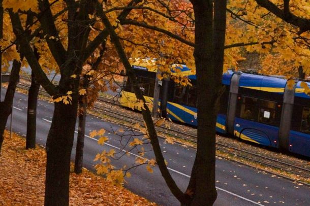 tramwaj wśród jesiennych liści